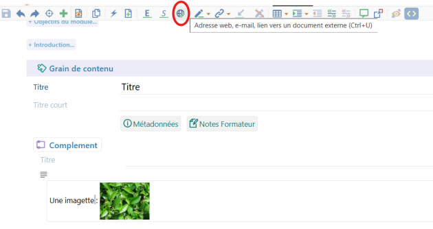 Insertion d'un lien image
