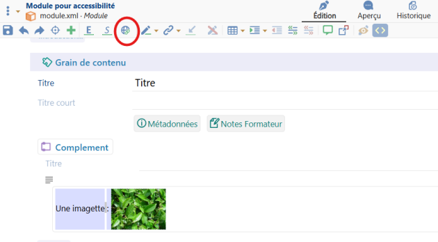 Navigation dans le menu d'insertion pour une image
