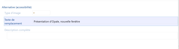 Saisie du champ « texte de remplacement »