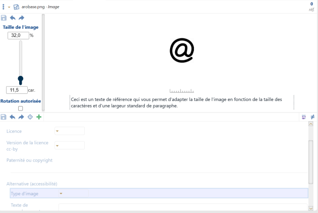Option « type d'image » dans les métadonnées d'une image